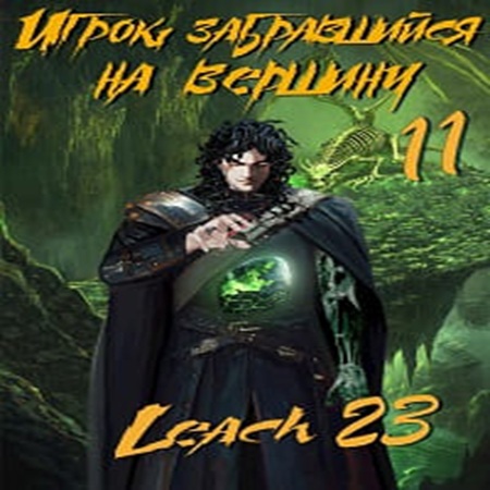 Дмитрий Михалек (Leach23) - Игрок, забравшийся на вершину [11 книга] (2025) MP3